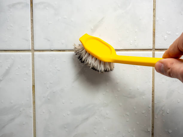 Best Commercial Mold Removal  in Leominster, MA