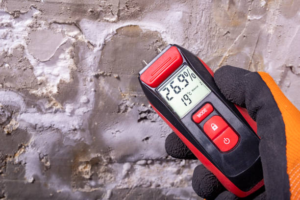 Best Water Damage Restoration  in Leominster, MA