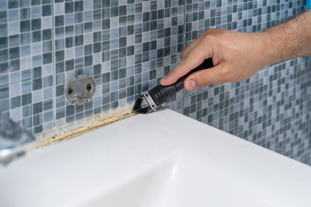 Best Local Mold Removal Service  in Leominster, MA
