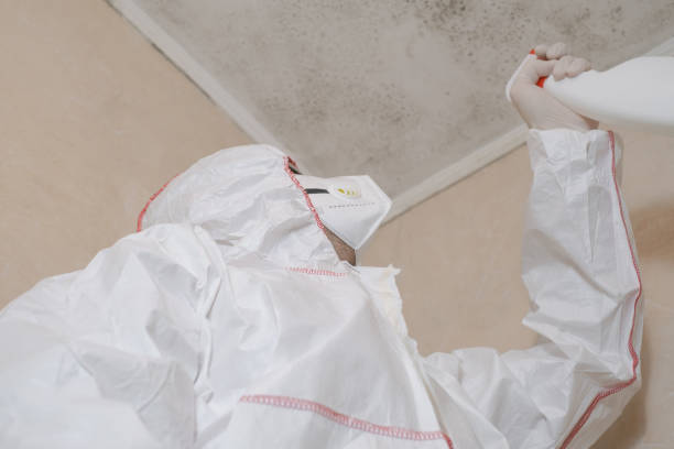 Best Mold Removal Near Me  in Leominster, MA