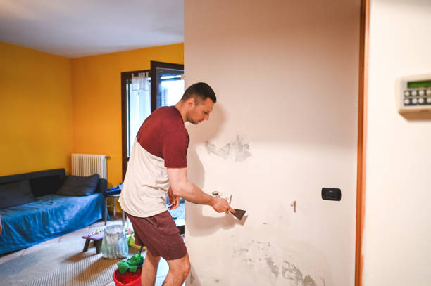 Best Mold Testing  in Leominster, MA